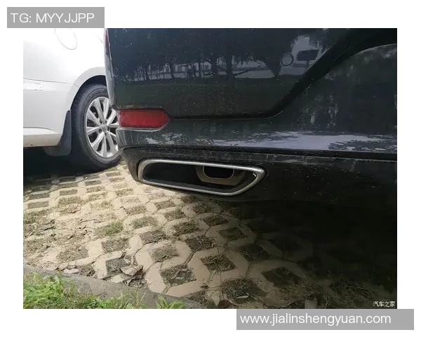 赛后分析：上海飞盘队与武汉飞盘队的战术意识与表现对比