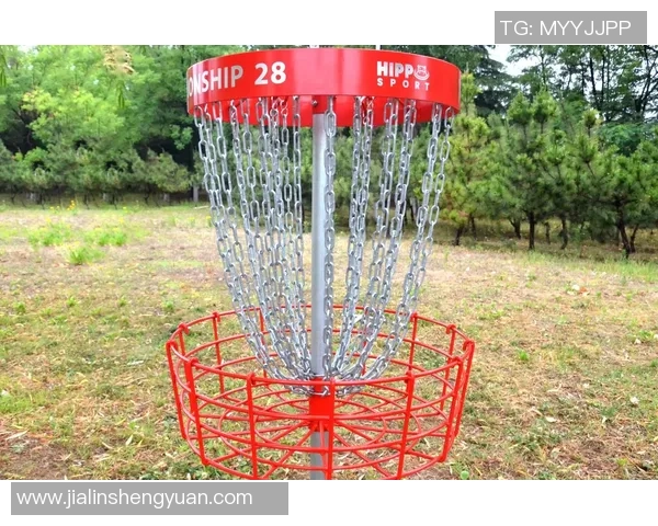 飞盘战术深度解析:北京飞盘队的战术布局与比赛策略探讨